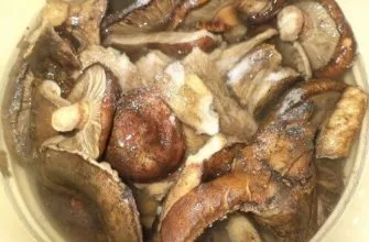 Икра из грибов / Рецепт с пошаговым фото